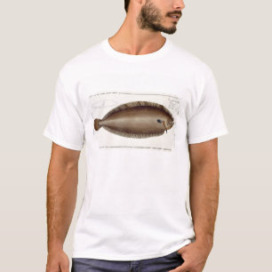 Dover Sole (Solea Solaea) bord XLV uit 'Ichthyol T-shirt