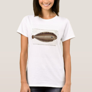 Dover Sole (Solea Solaea) bord XLV uit 'Ichthyol T-shirt