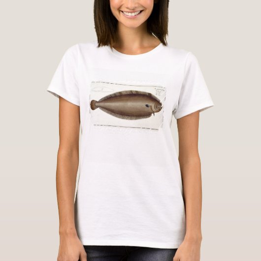 Dover Sole (Solea Solaea) bord XLV uit 'Ichthyol T-shirt (Voorkant)