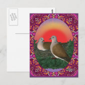 Doves Framed Briefkaart (Voorkant / Achterkant)