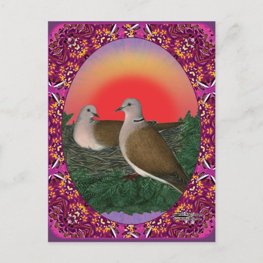 Doves Framed Briefkaart (Voorkant)