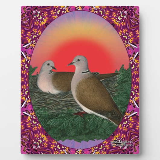 Doves Framed Fotoplaat (Voorkant)