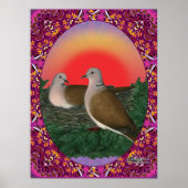 Doves Framed Poster (Voorkant)