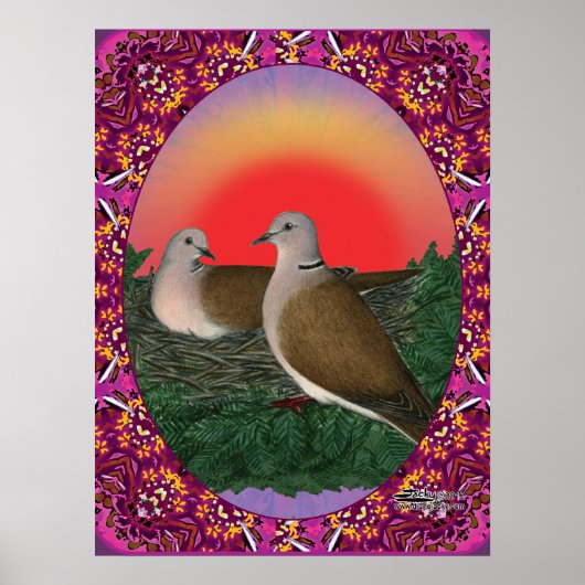 Doves Framed Poster (Voorkant)