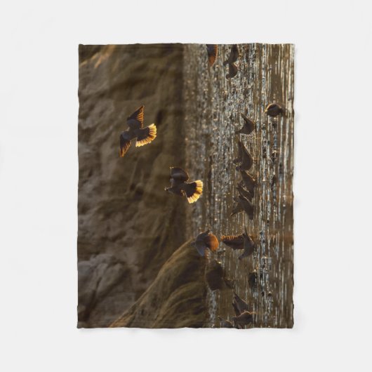 Doves in het daglicht fleece deken (Voorkant)