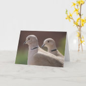Doves in Love Kaart (Gele Bloem)