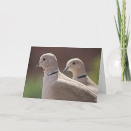 Doves in Love Kaart