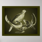 Doves on Branch Animal Art Poster (Voorkant)