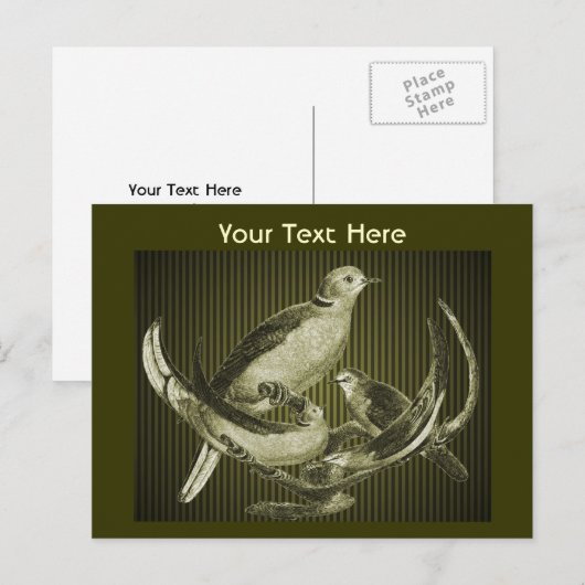 Doves on Branch  Briefkaart (Voorkant / Achterkant)