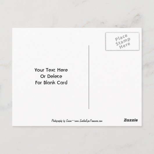 Doves on Branch  Briefkaart (Achterkant)