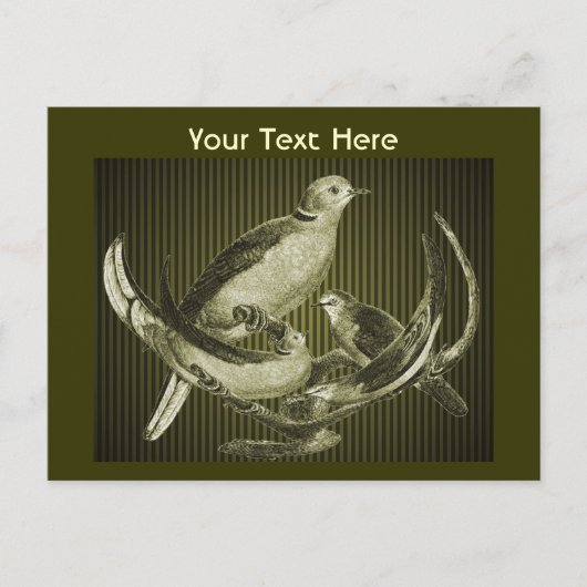 Doves on Branch  Briefkaart (Voorkant)