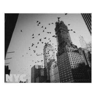 Doves over Manhattan Perfect Poster