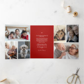 Doves Peace on Earth Kerstfeestdag Kaart (Binnen)