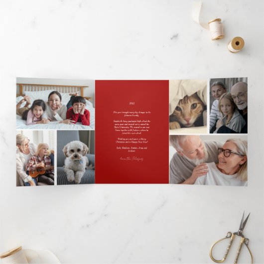 Doves Peace on Earth Kerstfeestdag Kaart (Binnen)