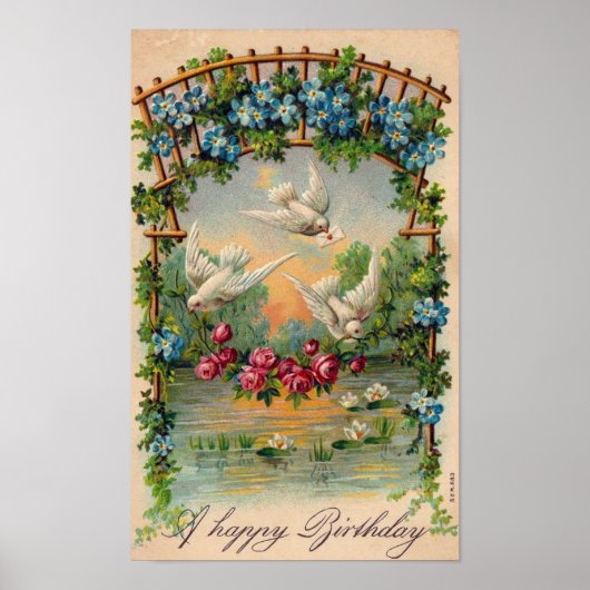 Doves Rozen Birthday Poster (Voorkant)