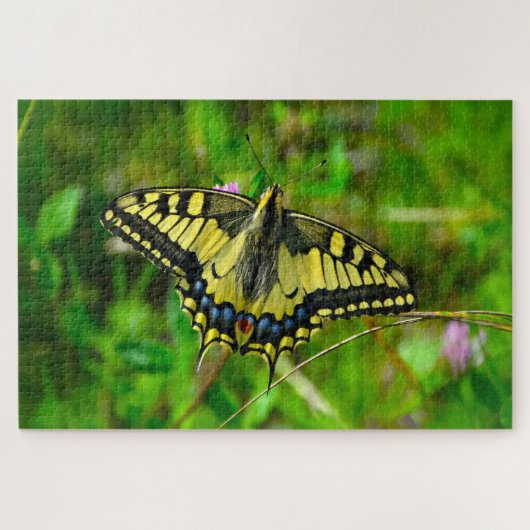 Dovetail Papilio Machaon Butterfly. Legpuzzel (Horizontaal)