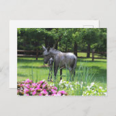 Dow Gardens, Midland, Michigan Briefkaart (Voorkant / Achterkant)