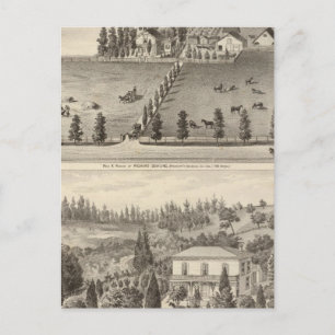 Dowling, woningen van Marston Briefkaart