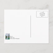 Down Chicago River Briefkaart (Achterkant)