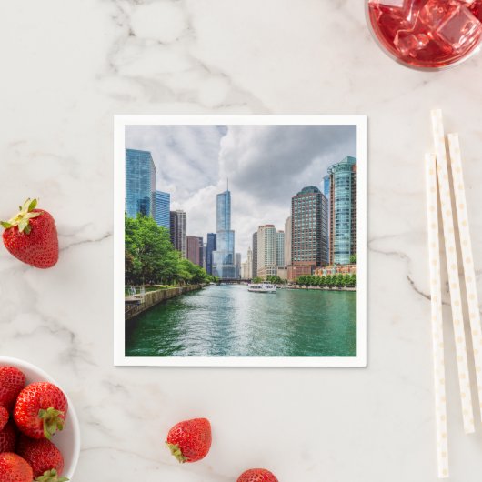 Down Chicago Servet (Insitu)