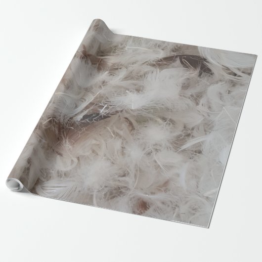 Down Comforter Feathers Fotografie Funny Cadeaupapier (Uitgerold)