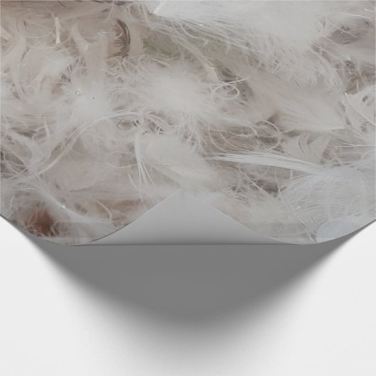 Down Comforter Feathers Fotografie Funny Cadeaupapier (Hoek)