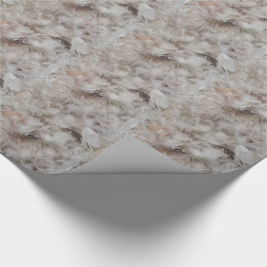 Down Comforter Feathers Fotografie Funny Cadeaupapier (Hoek)