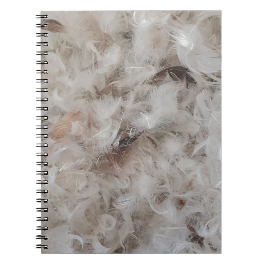 Down Comforter Feathers Fotografie Funny Notitieboek (Voorkant)