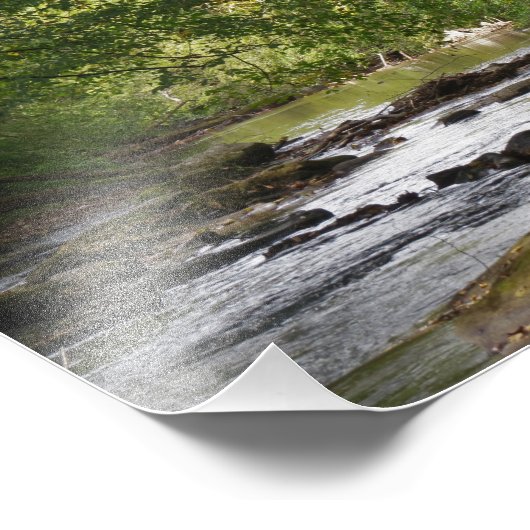 Down Stream Foto Afdruk (Hoek)