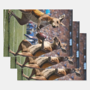 "Down Under Actie: Kangoeroes spelen Aussie Rules Inpakpapier Vel