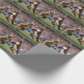 "Down Under Action: Kangoeroes spelen Australische Cadeaupapier (Hoek)