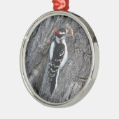 Downey Woodpecker Metalen Ornament (Links)