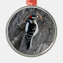 Downey Woodpecker Metalen Ornament