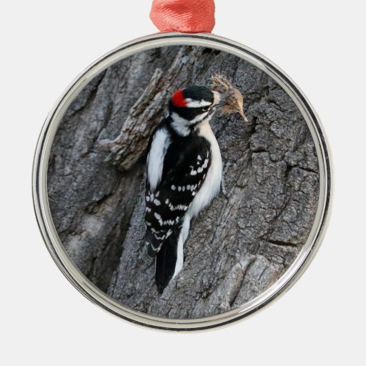 Downey Woodpecker Metalen Ornament (Voorkant)