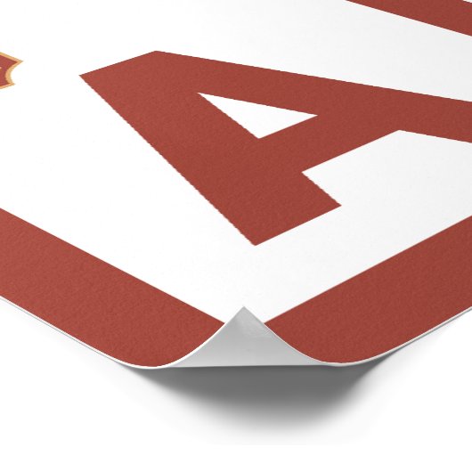 Downhhill Snow Skier - Alaska Poster (Hoek)