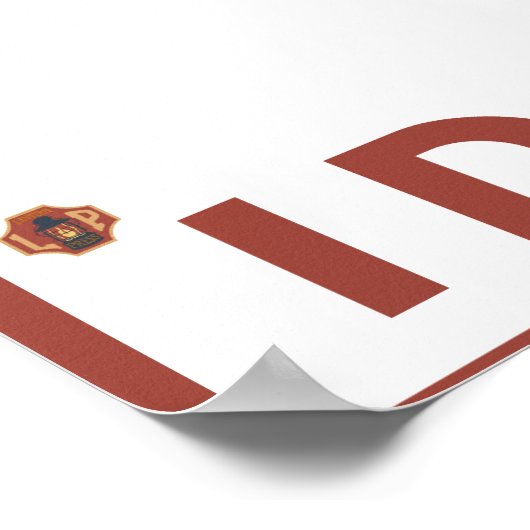 Downhhill Snow Skier - Idaho Poster (Hoek)