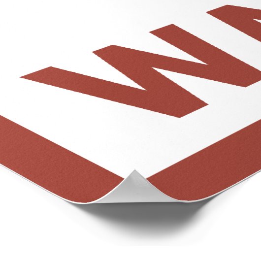 Downhhill Snow Skier - Washington Poster (Hoek)