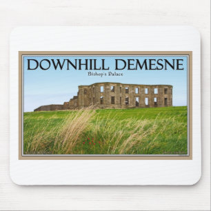 Downhill Demesne Muismat