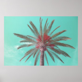 Downloadbare Blauwe Lucht Palmboom Foto Poster