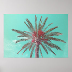 Downloadbare Blauwe Lucht Palmboom Foto Poster