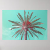 Downloadbare Blue Sky Palm Tree Foto Poster (Voorkant)