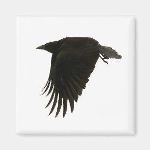 downstreammagneet magneet