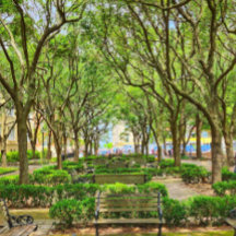 Downtown Charleston, SC Building Poster