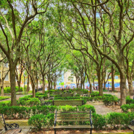 Downtown Charleston, SC Building Poster