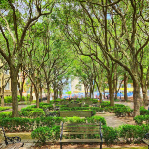 Downtown Charleston, SC Building Poster