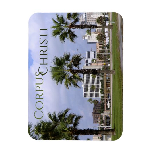 Downtown Corpus Christi Texas Souvenir Magnet Magneet (Verticaal)