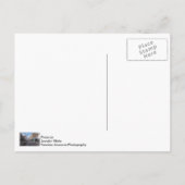 Downtown Springfield Briefkaart (Achterkant)