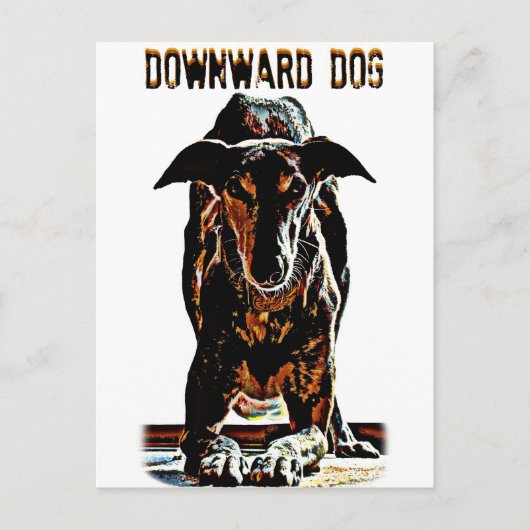 Downward Dog Briefkaart (Voorkant)