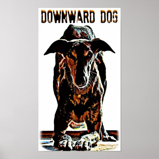 Downward Dog Poster (Voorkant)