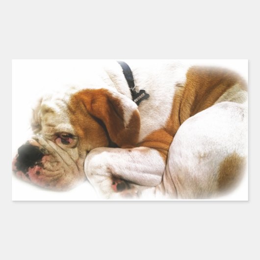 Downward Dog Rechthoekige Sticker (Voorkant)